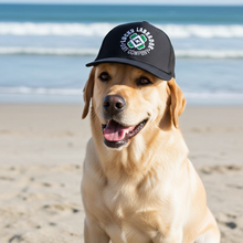 Load image into Gallery viewer, Dog wearing a cap on a beach with ocean in the background